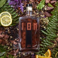 Ion-Gin