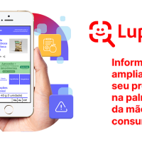 lupinha-1000x500 (4)