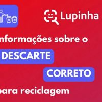 Lupinha 2